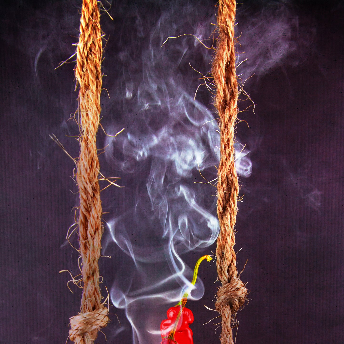 Red Chili Peppers Inspired Wall Art